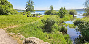Ufer des idyllischen Schwielowsees.