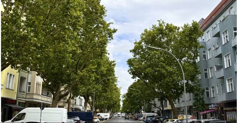 Tram oder Bäume? Noch ist es grün an der Kaiser-Augusta-Allee. Foto: BACW/von Kentzinsky