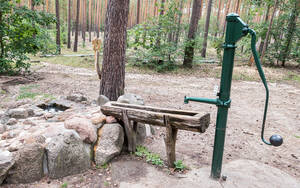 Nicht nur in der Stadt, auch im Wald, wie hier im Forst Düppel, stehen Schwengelpumpen.