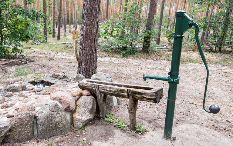 Nicht nur in der Stadt, auch im Wald, wie hier im Forst Düppel, stehen Schwengelpumpen.