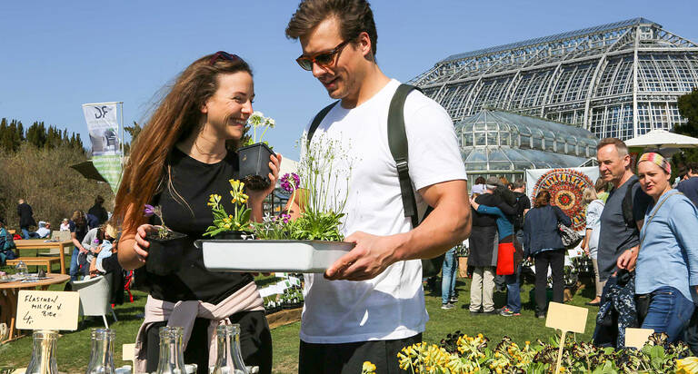 Der 6. Berliner Staudenmarkt - ein Treffpunkt für Garten- und Pflanzenfans. Foto: Kerstin Zillmer