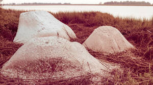 Beverly Buchanan, Photo: Marsh Ruins, 1981, Farbfotografie, 3,5 x 5 Zoll, Courtesy of the Estate of Beverly Buchanan und Andrew Edlin Gallery, New York