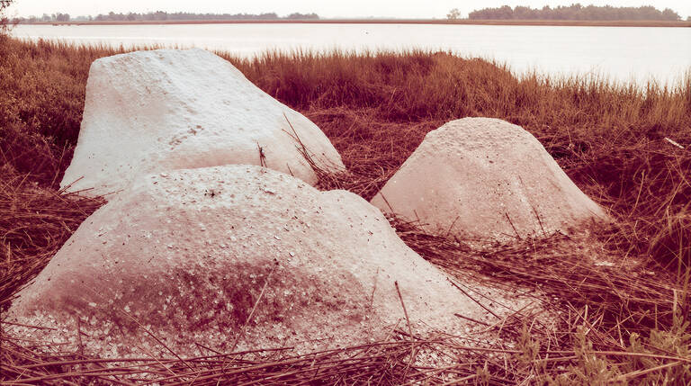 Beverly Buchanan, Photo: Marsh Ruins, 1981, Farbfotografie, 3,5 x 5 Zoll, Courtesy of the Estate of Beverly Buchanan und Andrew Edlin Gallery, New York