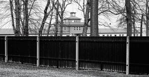 Foto: Christian Rothe