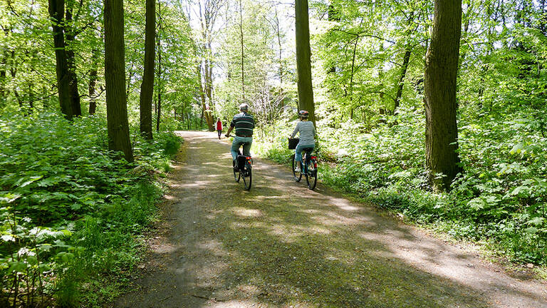 Die Wegesanierung im Heinrich-Laehr-Park wird fortgeführt.