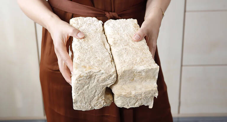 Pilzkompositbaustein. Foto: Martin Weinhold