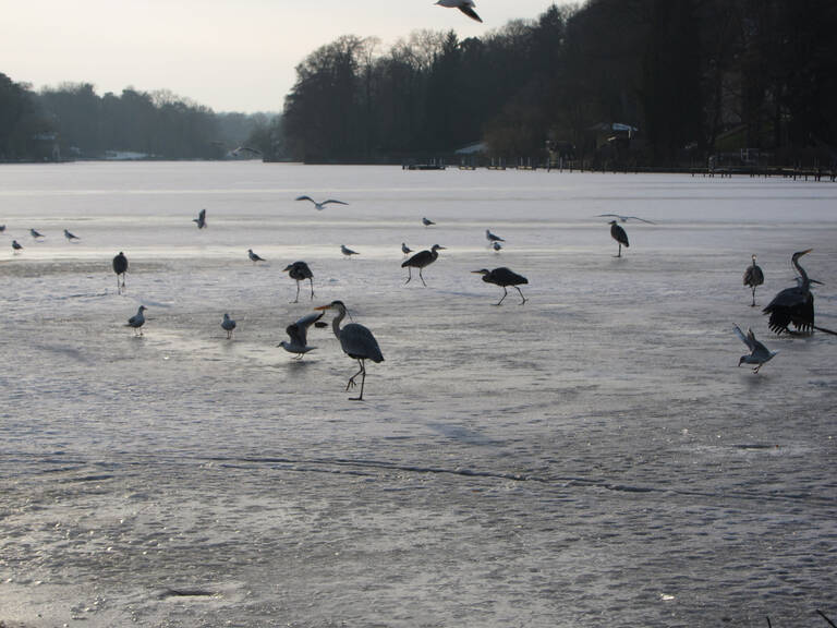 Die Eisflächen sind noch nicht tragfähig - Lebensgefahr beim Betreten.