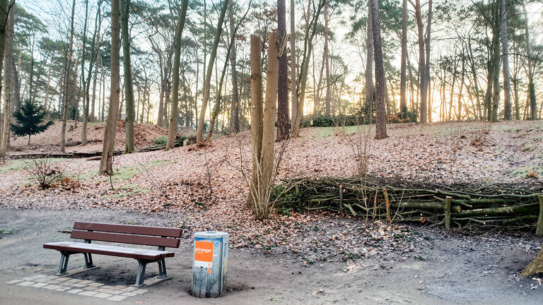 Schichtholzhecken sollen beim Schutz des Waldbodens helfen. Foto: Gr&uuml;nfl&auml;chenamt SZ
