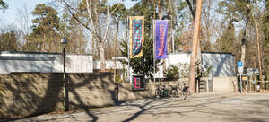 Ab M&auml;rz zeigt das Br&uuml;cke Museum eine neue Ausstellung.