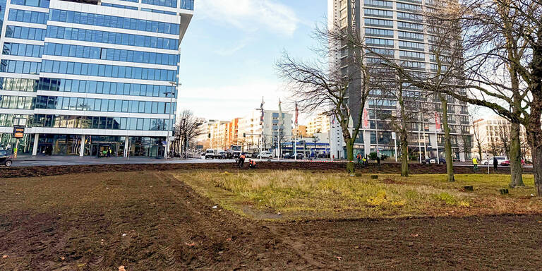 Rund 70.000 Blumenzwiebeln wurden eingepflanzt. Foto: BACW/von Kentzinsky