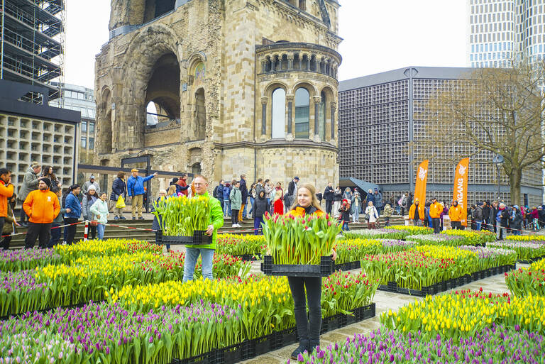 Der Breitscheidplatz wird zum Tulpengarten. Foto: TPN-GPP.