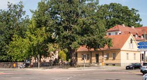 Vor dem Heimatmuseum beginnt die F&uuml;hrung zur Artenvielfalt der B&auml;ume in Zehlendorf.