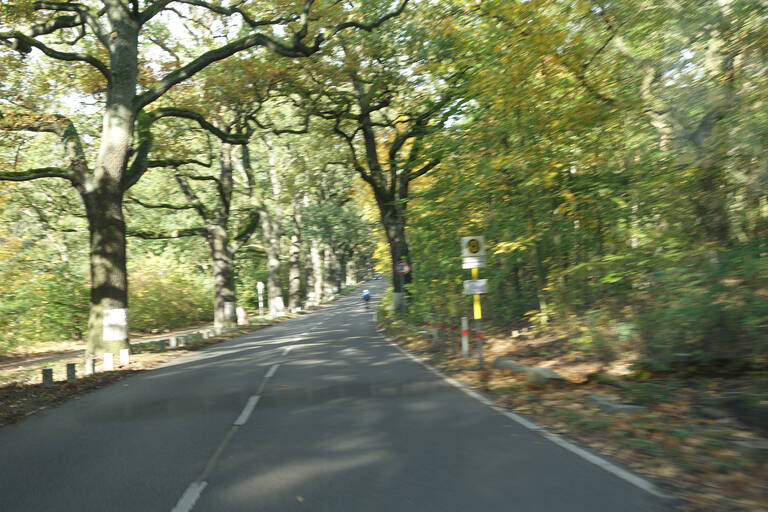 Die Strecke führt über die landschaftlich schöne Havelchaussee.