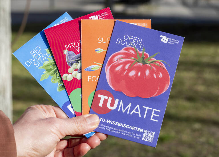 Im Projekt „Wissensgarten“ bietet die Universität samenfestes, ökologisches Saatgut und Jungpflanzen an. Foto: Janine Ruelicke-Ahrens