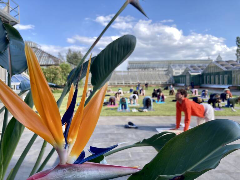 Yoga am Tag der Artenvielfalt.