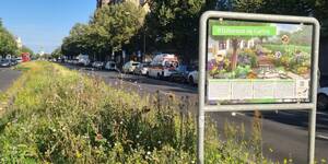 Bl&uuml;hender Mittelstreifen am Rathaus Charlottenburg. Foto: BACW