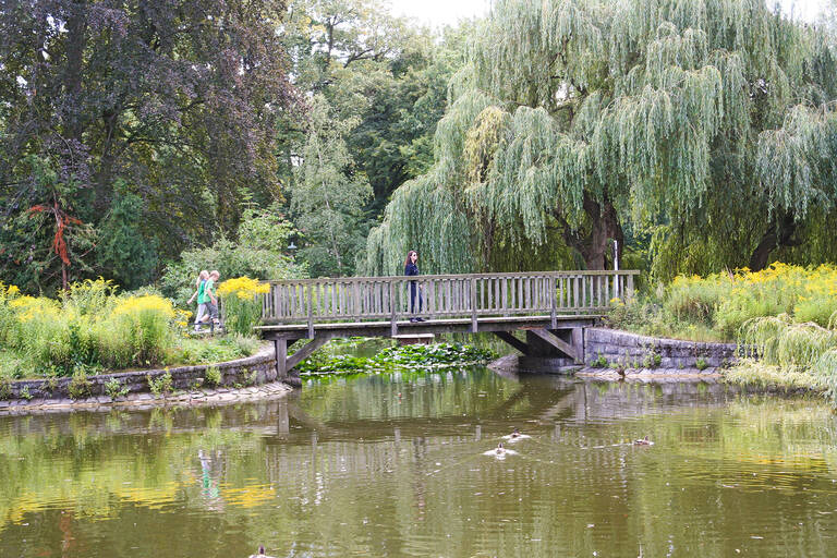 Die Brücke ermöglicht schöne Ausblicke auf die Teiche.