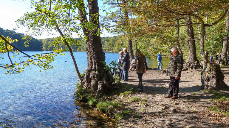 Die Bereiche rund um Schlachtensee und Krumme Lanke sollen klimasensibel umgebaut werden.