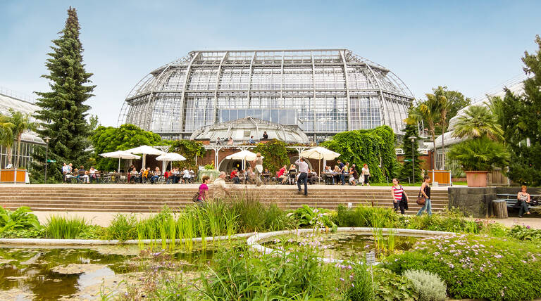 Der Botanische Garten lädt zu seiner aktuellen Ausstellung ein.