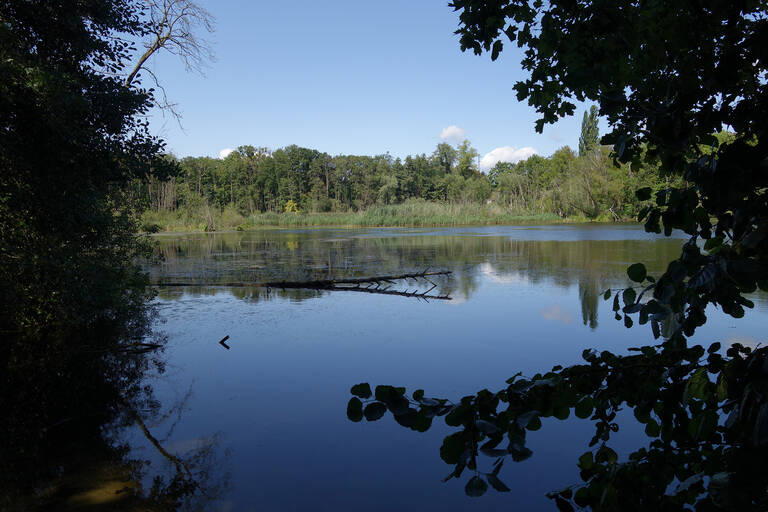 Die kleine Pilgertour führt vom verträumten Nikolassee bis zur Havel.