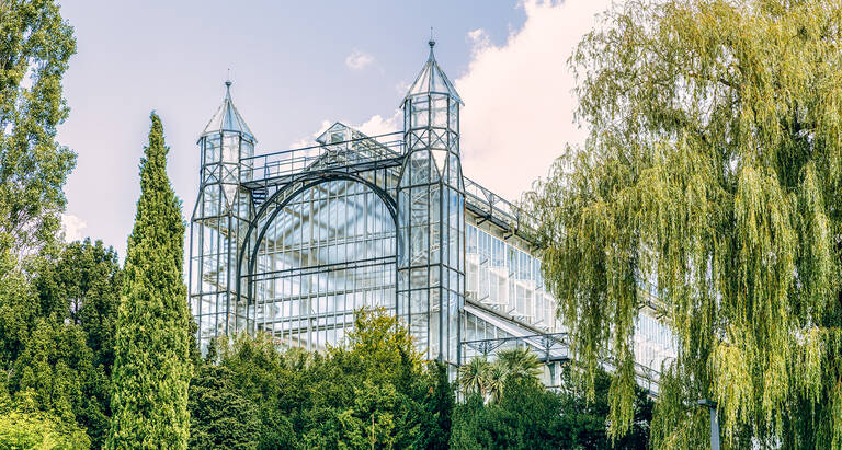 Das Mittelmeerhaus wird gerettet. Foto: Marlene Gawrisch
