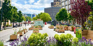 Urban Gardening am Breitscheidplatz auf der Kantstra&szlig;e. Foto: SBNE