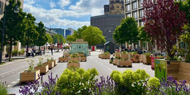 Urban Gardening am Breitscheidplatz auf der Kantstraße. Foto: SBNE