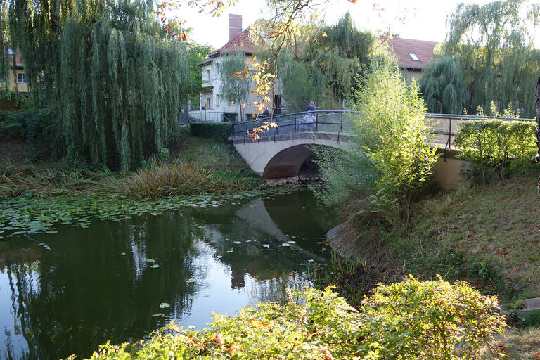 Wohnen im Grünen - die Siedlung Lindenhof.
