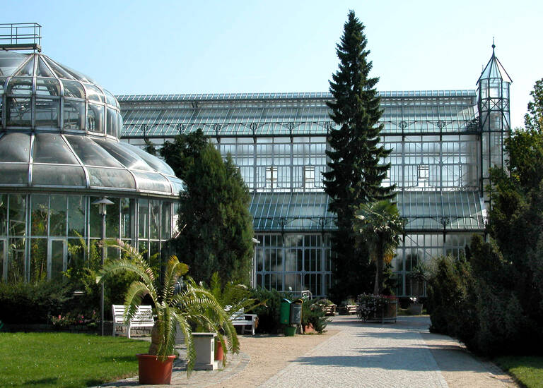 Die Gewächshäuser im Botanischen Garten lassen sich in einem neuen Format erleben. Foto: I. Haas, Botanischer Garten und Botanisches Museum Berlin
