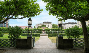 Stadtb&auml;ume - hier am Mierendorffplatz - sind f&uuml;r ein gutes Klima unverzichtbar.