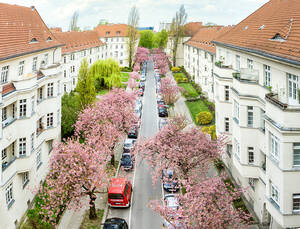 Parken an den Cecilieng&auml;rten wird bald kostenpflichtig.