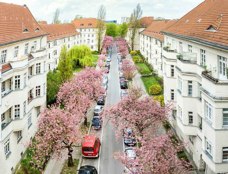 Parken an den Ceciliengärten wird bald kostenpflichtig.