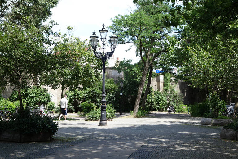  Das Leben für Bäume in der Stadt - hier am Varziner Platz - ist sehr anspruchsvoll.