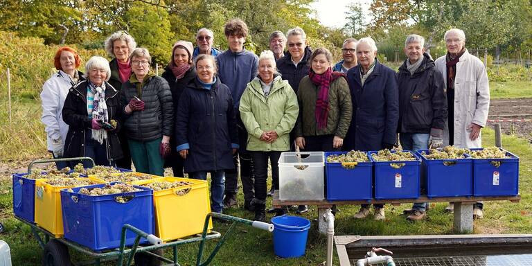 Das engagierte Team der diesjährigen Weinlese. Foto: BA TS