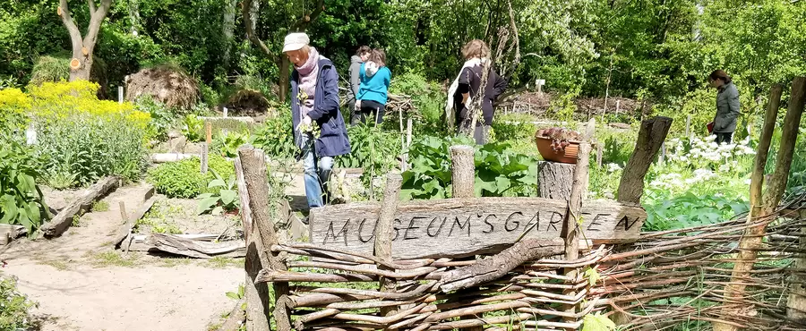 Museumsgarten