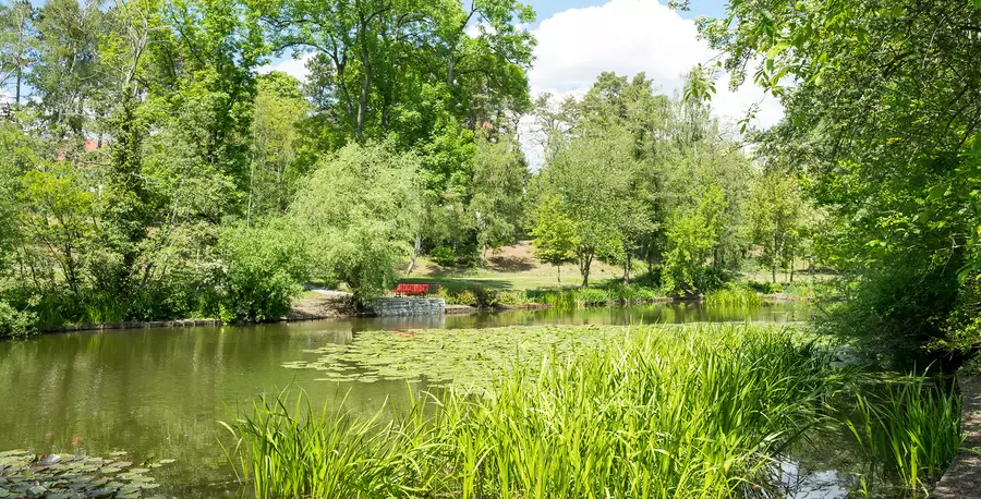 Teich