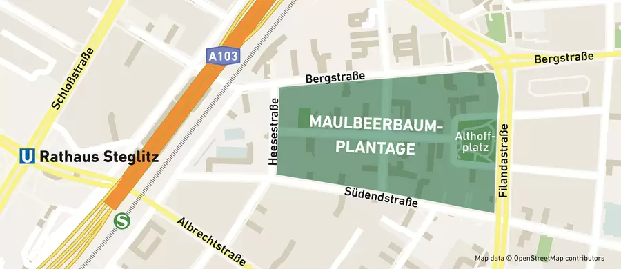 Plan Maulbeerbaumplantage