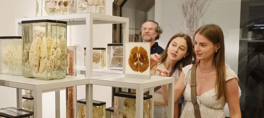 Ausstellung Anatonomie