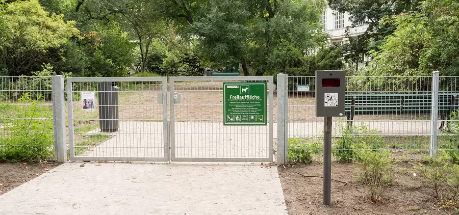 Hunde Freilauffläche