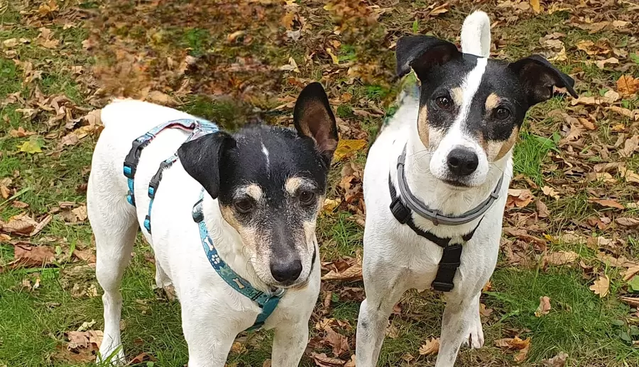 Chico und Fabio: Bodegueros-Freunde fürs Leben. Foto: Verein Ein Freund fürs Leben