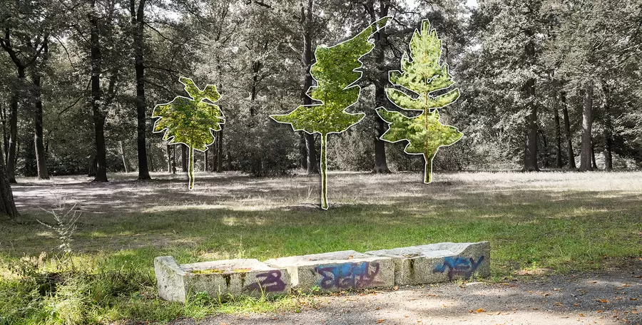 „Baumdenkmal“ für die deutsche Einheit.