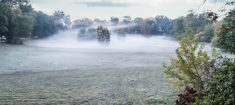 Das „liebliche Wiesental“ – die Rehwiese ist nach wie vor ein gern besuchtes Erholungsgebiet.