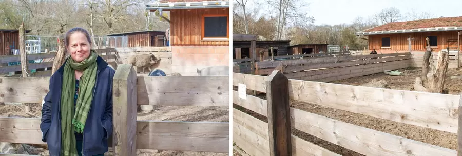 Museumsdorf-Leiterin Dr. Julia Heeb freut sich über den neuen Schweinestall.