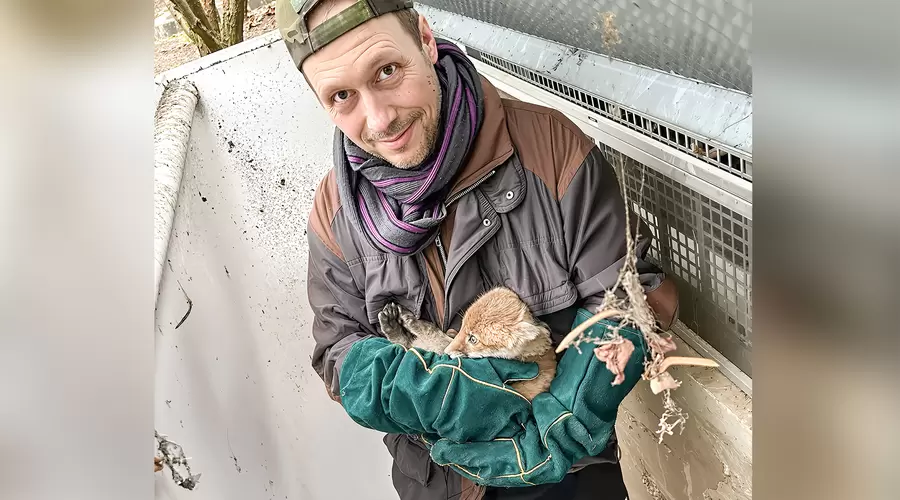 Fuchsretter Holger Koppatsch mit dem geborgenen Welpen. Foto: privat