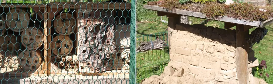 Insektenhotel und Sandarium liefern Insekten Nistmöglichkeiten