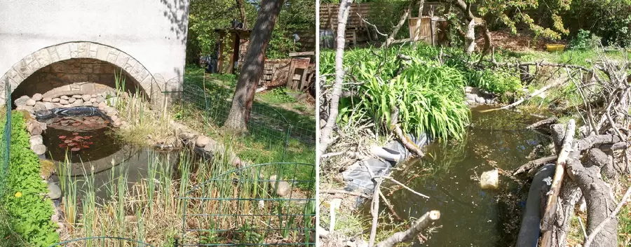 Kein Naturgarten ohne Teich und Regenrückhaltebecken.