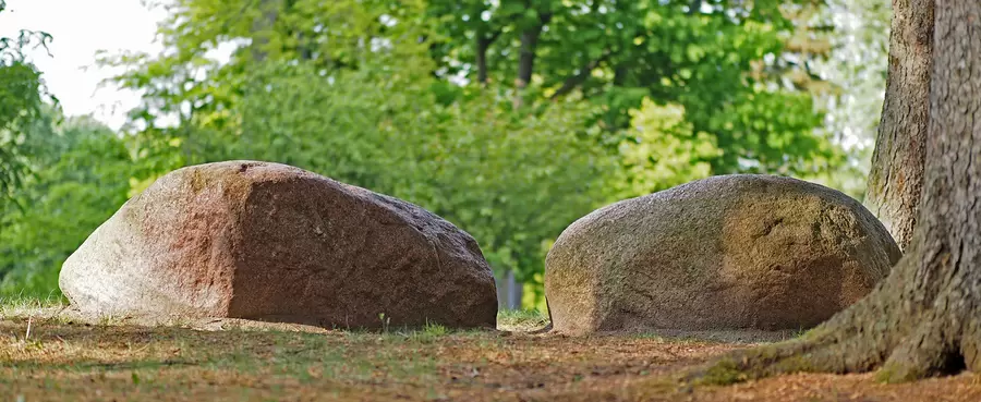 Die zwei Findlinge im Gemeindepark Lankwitz gelten als Naturdenkmal. Foto: Wikipedia