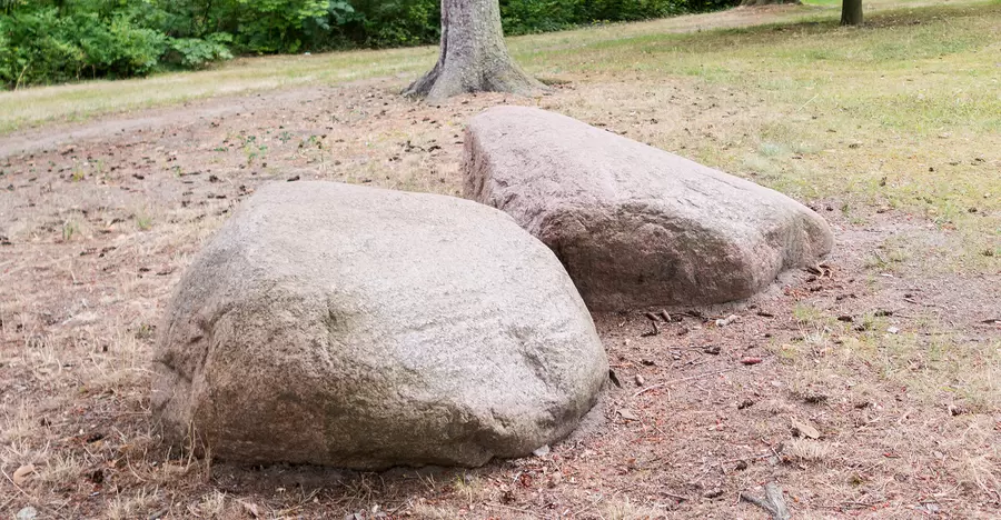 Die zwei Findlinge im Gemeindepark Lankwitz gelten als Naturdenkmal.
