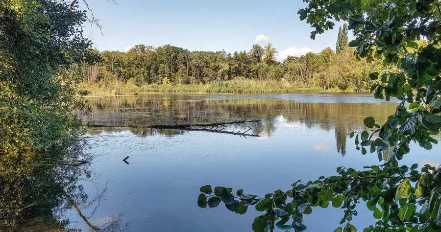 Nikolassee