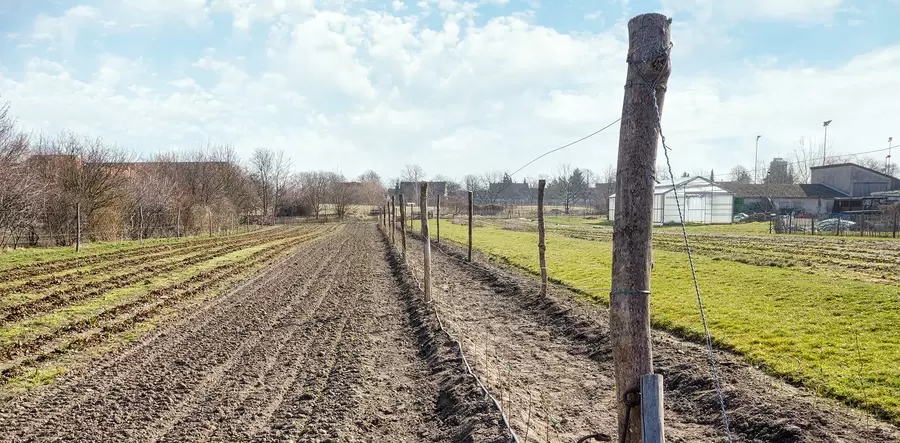 Auf dem Landgut der Domäne Dahlem können Besucher die Landwirtschaft hautnah erleben.